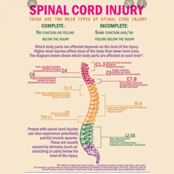 What You Need to Know About Spinal Cord Injury - Ubee Nutrition