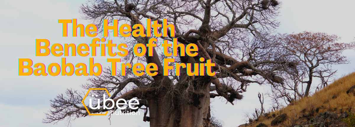 The Health Benefits of the Baobab Tree Fruit - Ubee Nutrition