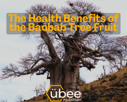 The Health Benefits of the Baobab Tree Fruit